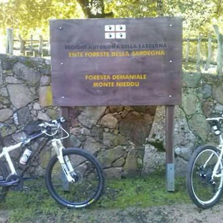 B&B Il Vigneto Capoterra Eksteriør billede