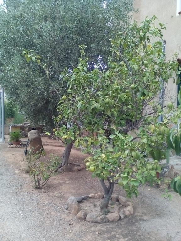 B&B Il Vigneto Capoterra Eksteriør billede