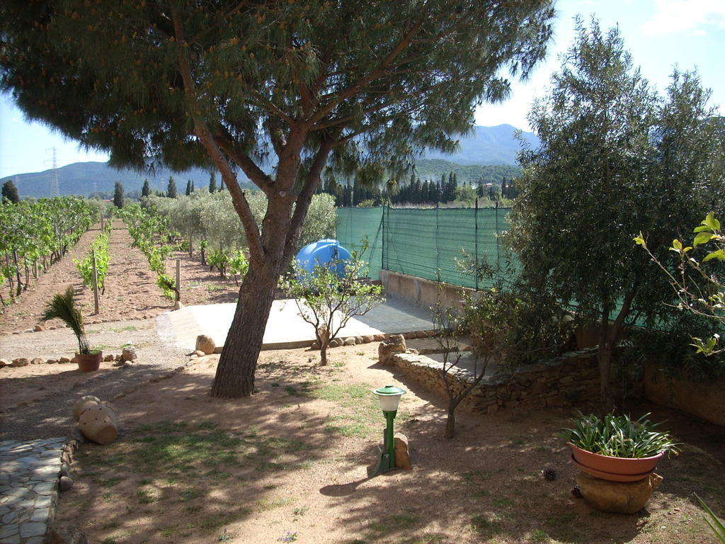 B&B Il Vigneto Capoterra Eksteriør billede