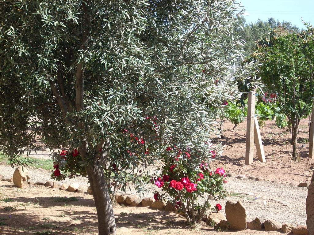 B&B Il Vigneto Capoterra Eksteriør billede