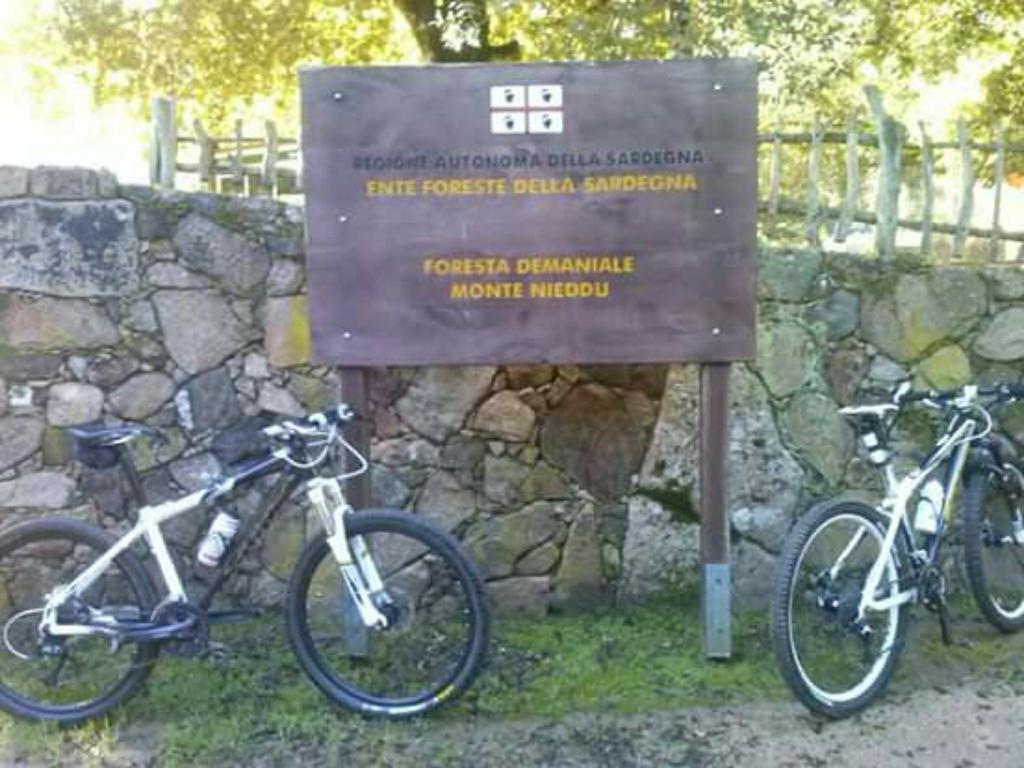 B&B Il Vigneto Capoterra Eksteriør billede